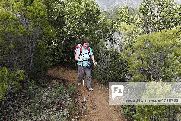 Woman hiking on a forest trail near Vallehermoso  La Gomera island  Canary Islands  Spain  Europe