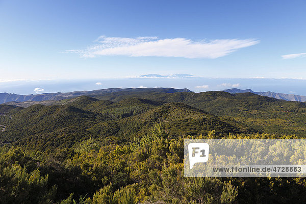 Bewaldete Berge im Nationalpark Garajonay  Blick vom Berg Garajonay  höchster Punkt von La Gomera  hinten La Palma  Kanaren  Spanien  Europa