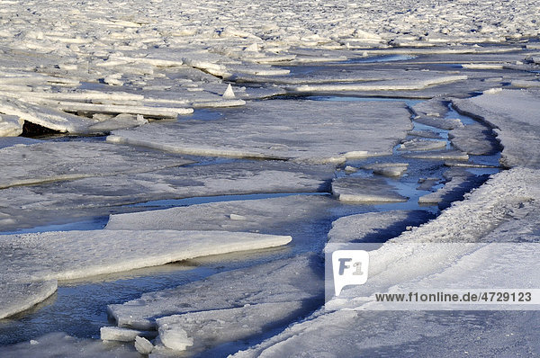 Eisschollen auf der Ostsee vor Stein  Probstei  Kreis Plön  Schleswig-Holstein  Deutschland  Europa