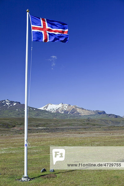 Isländische Nationalflagge weht im Wind auf einer Wiese  Borsmörk  Island  Europa
