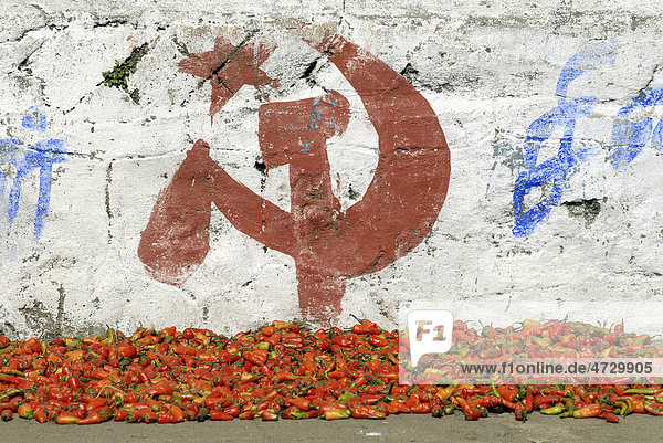 Chilis und Wahlwerbung für die Kommunistische Partei Munnar Kerala Südindien Indien Asien