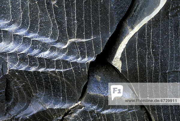 Obsidian vulkanisches Gesteinsglas Landmannalaugar Fjallabak Island Europa