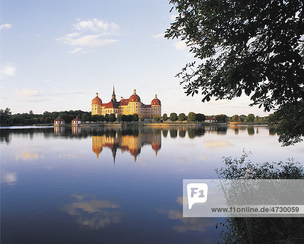 Schloss Moritzburg im Abendlicht mit Spiegelung  Sachsen  Deutschland  Europa