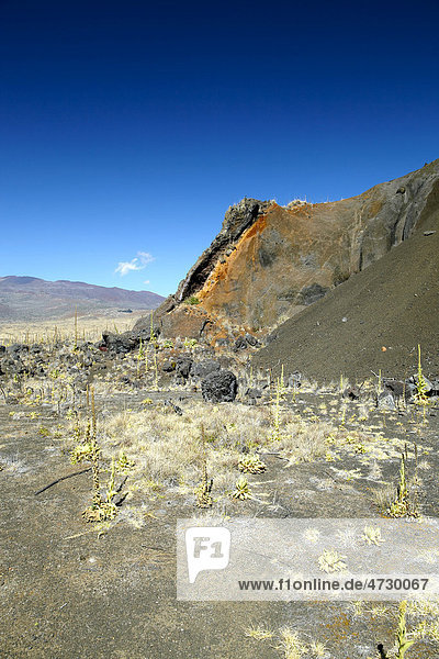Mauna Kea  Schildvulkan  Vulkan  Big Island  Hawaii  USA