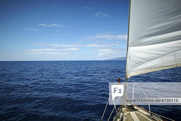 Segel  Segelboot  Maui  Hawaii  USA