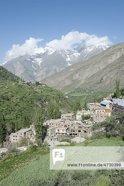 Ort im Gebirge an grünem Hang  Keylong  Distrikt Lahaul und Spiti  Bundesstaat Himachal Pradesh  Indien  Südasien  Asien