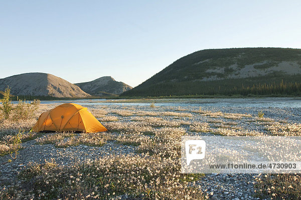 Zelt  Expedition  arktische Tundra  Wollgras  Camping  Wind River  Mackenzie Mountains  Yukon Territory  Kanada
