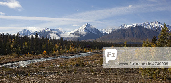 Der Bach Quill Creek  Altweibersommer  herbstlich gefärbte Blätter  Herbst  St. Elias Mountains  Eliaskette  hinten der Kluane-Nationalpark  Yukon Territorium  Kanada
