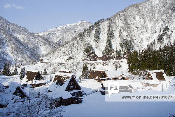 Dorf mit traditionellen Gebäuden im Winter Shirakawa-go Gifu Japan Asien