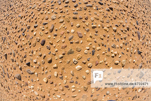 Kleine Steinchen in der libyschen Wüste  Libyen  Sahara  Nordafrika  Afrika