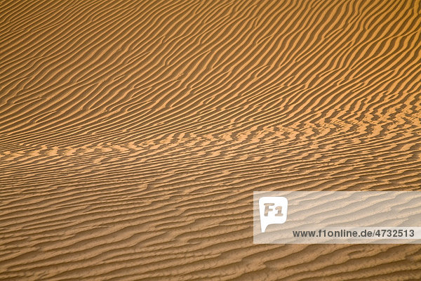 Wellenstruktur  Sanddünen der libyschen Wüste  Erg Murzuk  Libyen  Sahara  Nordafrika  Afrika