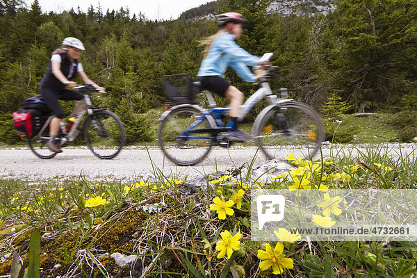 Biking tour to the origin of the Isar River in Hinterautal  Karwendel Mountains  Alps  Austria  Europe