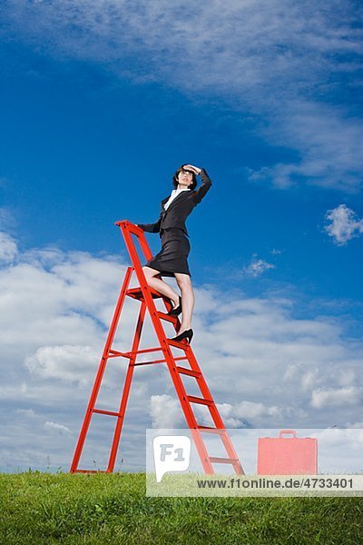 Businesswoman with red briefcase standing on top of red ladder in grass field and shielding eyes