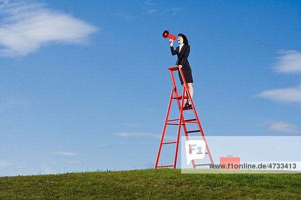Businesswoman with red briefcase standing on top of red ladder in grass field and shouting through red megaphone