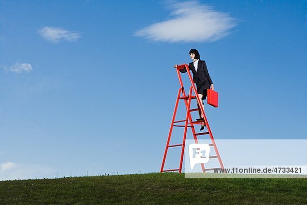 Businesswoman with red briefcase climbing up red ladder in grass field