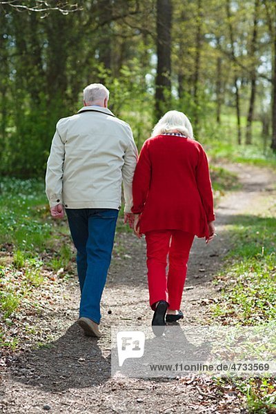 älteres Paar Wandern im park