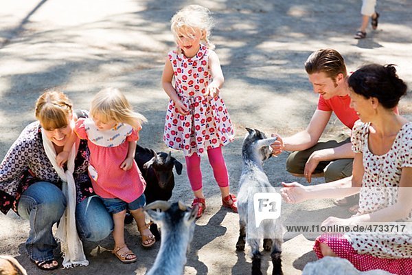 Family feeding goats at zoo