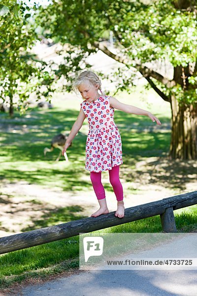Mädchen Wandern am Geländer im zoo