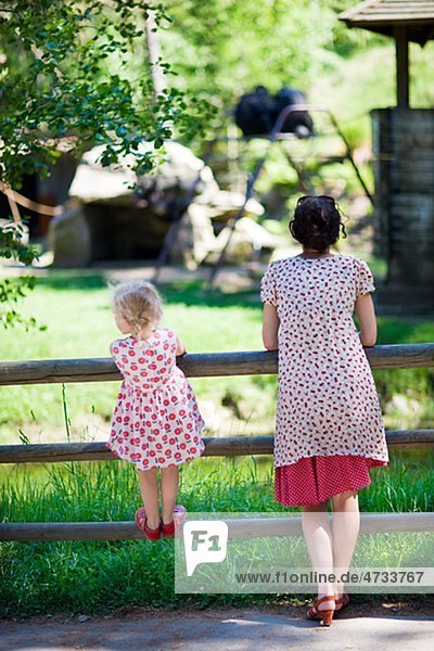 Mutter und Tochter aufpassen Tiere im zoo