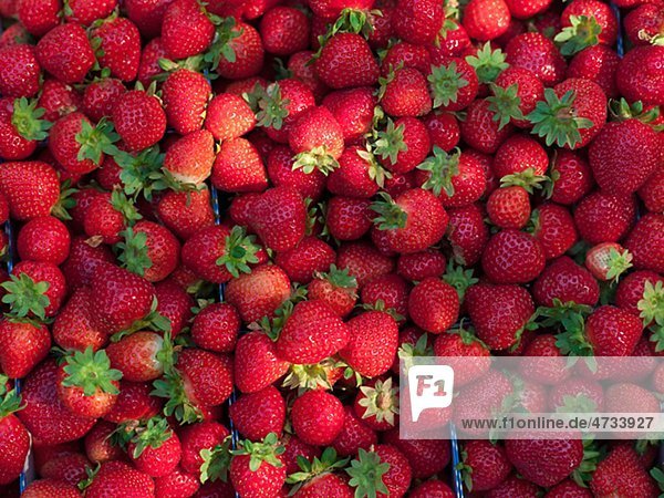 Heap Erdbeeren  full-frame