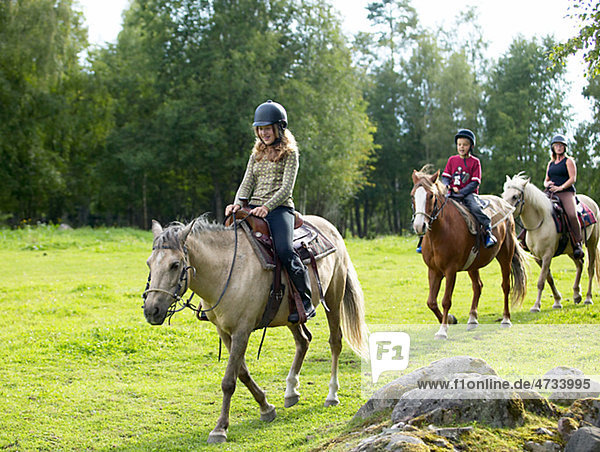 Recreational horseback riding