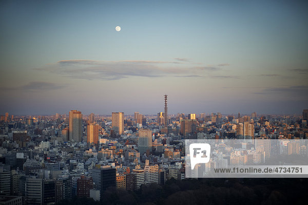Erhöhte Ansicht der Tokyo Großstadt in der Dämmerung