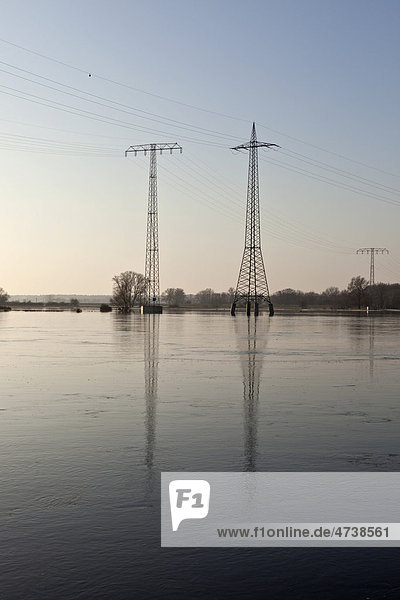 Gittermasten im Elbe-Hochwasser  Ferchland  Sachsen-Anhalt  Deutschland  Europa