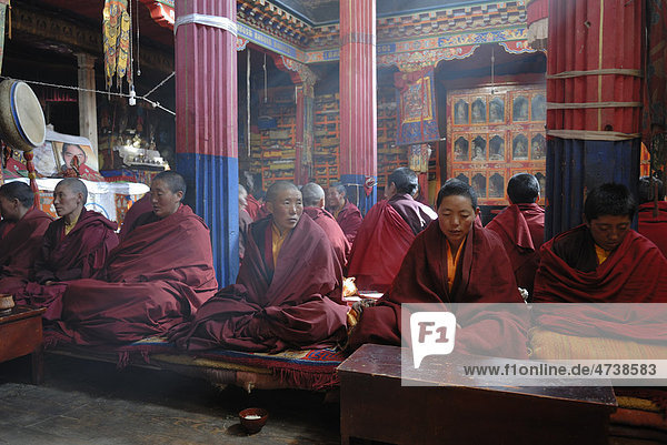 Nonnen im Nonnenkloster Terdrom  Tibet  China  Asien