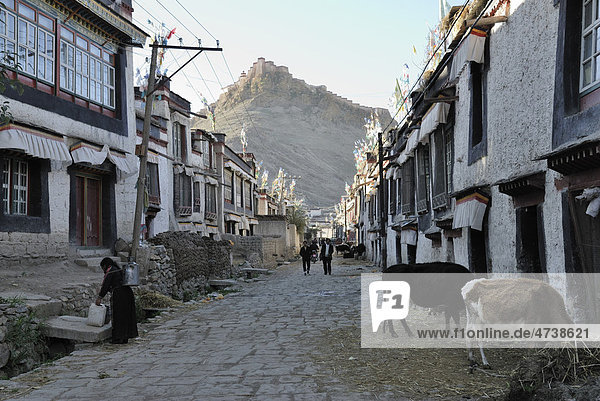 Gasse in der Altstadt von Gyantse mit Blick auf den Dzong  Gyantse  Gyangze  Tibet  China  Asien