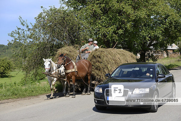 Land der zwei Geschwindigkeiten Heuwagen wird von Audi überholt Maramures Rumänien Europa