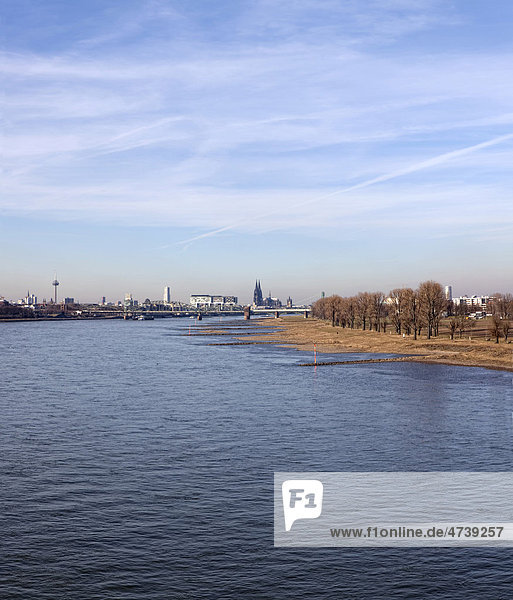 Blick auf Köln von der Rodenkirchener Autobahnbrücke über den Rhein  Köln-Rodenkirchen  Köln  Nordrhein-Westfalen  Deutschland  Europa