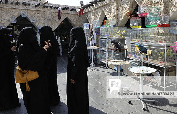 Womenwearing traditional burqa taking photographs of each other at the animal market in Souq al Waqif  the oldest souq or bazaar in the country  Doha  Qatar  Arabian Peninsula  Persian Gulf  Middle East  Asia