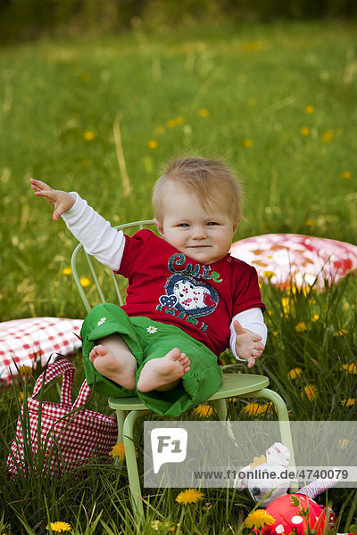 Girl  8 months  sitting on a chair in a meadow