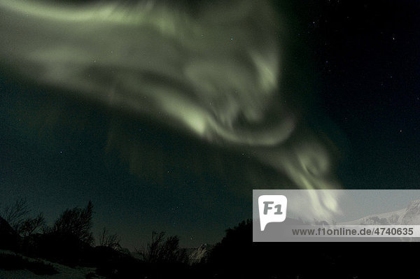 Nordlichter (Aurora borealis)  Finnmark  Norwegen  Europa
