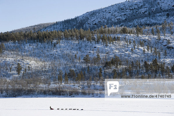 Schlittenhundegespann auf zugefrorenem Fluss  Finnmarksl¯pet  nördlichstes Schlittenhunderennen der Welt  Finnmark  Lappland  Norwegen  Europa