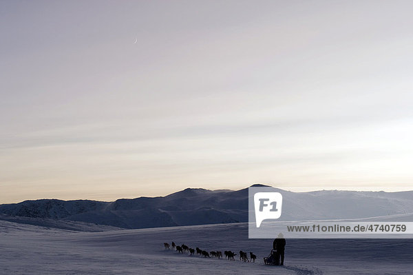 Schlittenhundegespann vor den Bergen der Finnmarksvidda  Lappland  Norwegen  Europa