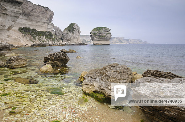 Steilküste bei Bonifacio  Korsika  Frankreich  Europa