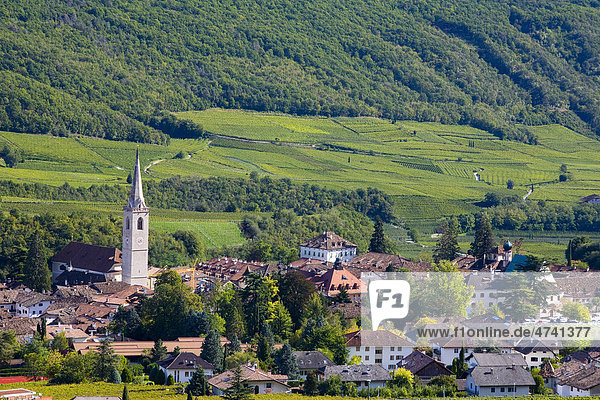 Dorf Kaltern  Südtirol  Italien  Europa