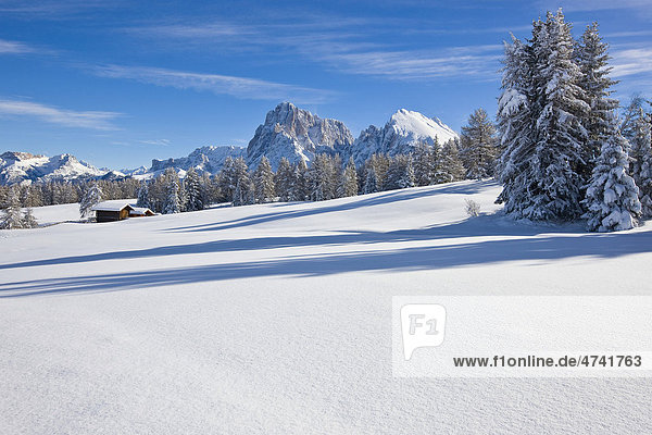 Winterlandschaft  Südtirol  Italien  Europa