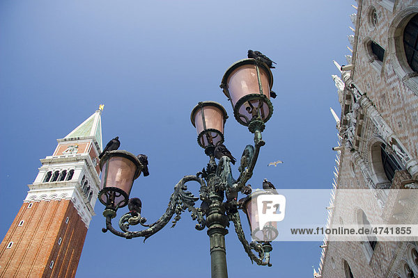 Straßenlaternen mit Campanile oder Markusturm in Venedig  Veneto  Italien  Europa