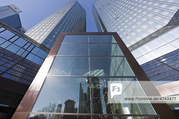 Die neue Hauptzentrale der Deutschen Bank  Frankfurt  Hessen  Deutschland  Europa