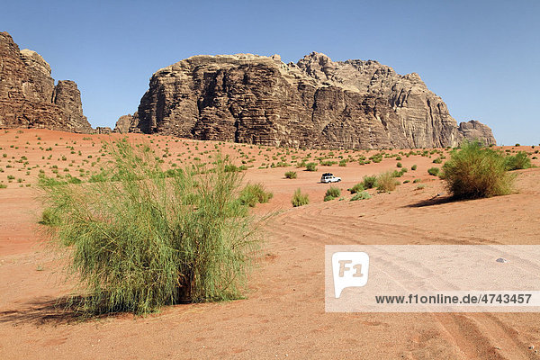 Berg weite Ebene Wüste Büsche Geländewagen Wadi Rum Haschemitisches Königreich Jordanien Vorderasien