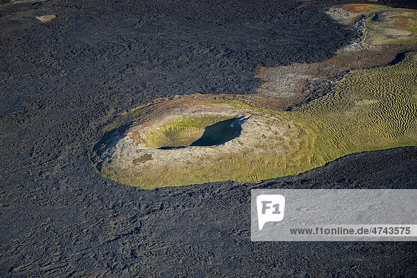 Luftaufnahme  Lavafelder des Krafla-Vulkans  M_vatn  Nordisland  Island  Europa