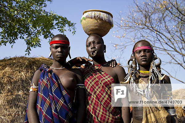 Women of the Mursi ethnic group  famous for the huge lip plates the women are sporting  Mago National Park  near Jinka  Lower Omo Valley  South Ethiopia  Africa