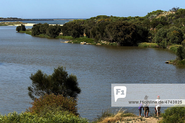 Menschen schauen auf die Mündung des Irwin River Flusses  Dongara  Western Australia  Australien