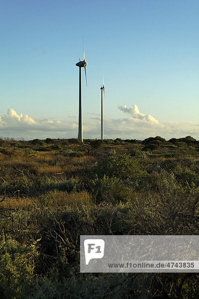 Windkraftanlagen  Western Australia  Australien