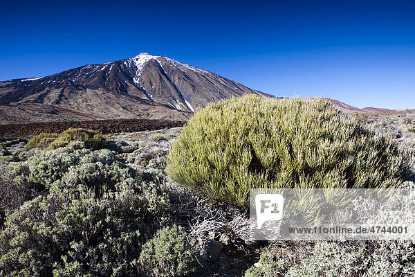 Vulkan Teide im Teide Nationalpark  UNESCO Weltnaturerbe  Teneriffa  Kanarische Inseln  Spanien  Europa