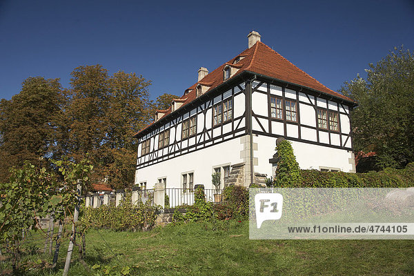 Weingut und Museum Hoflößnitz im Weinberg  Radebeul  Sachsen  Deutschland  Europa