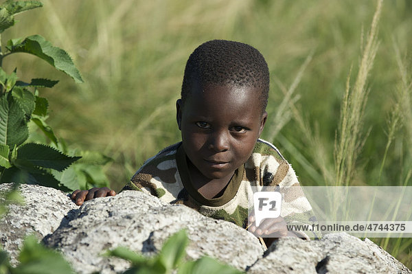Young boy on Musila Island  Lake Victoria  Bukoba  Tanzania  Africa