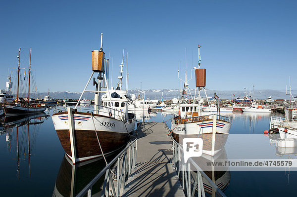 Steg  alte Fischerboote  heute Walbeobachtungsboote im Hafen von H_savÌk  Husavik  Island  Skandinavien  Nordeuropa  Europa
